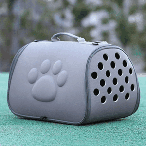 Creative Breathable Foldable Pet Carrier Bag