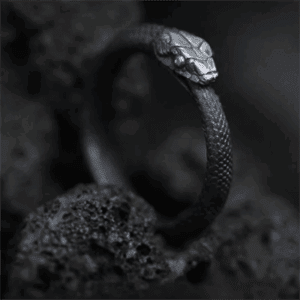 Black Retro Resizeable Gothic Snake Ring