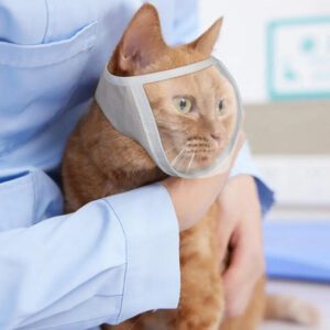 Anti-bite Breathable Small Pet Safety Mask