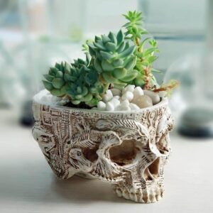Hand Carved Skull Flower Pot Home Decoration