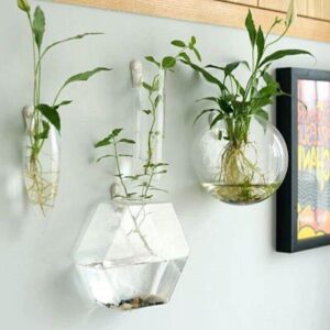 Handmade New Hexagonal Wall Clear Terrarium Vase