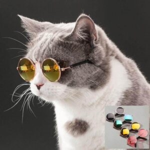 Pet Cat Little Cool Glasses