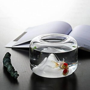 Creative Transparent Snow Mountain Fish Aquariums